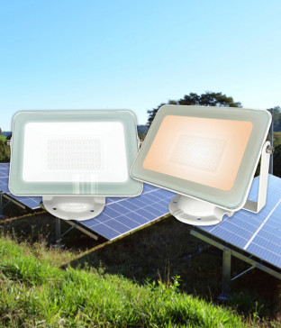 LED 노터스 노출 투광기 12V 30W